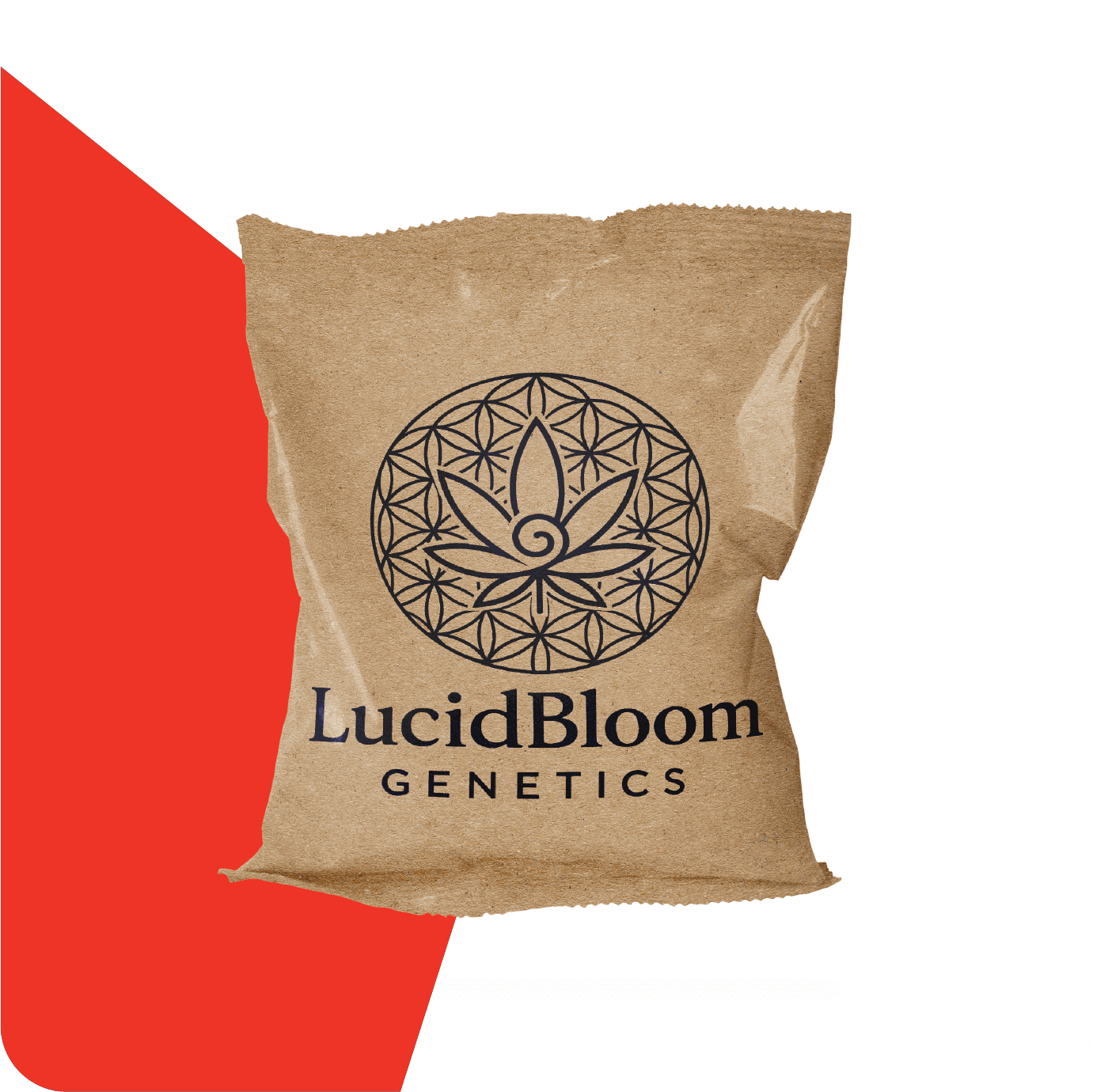 eco friendly pouch packaging
