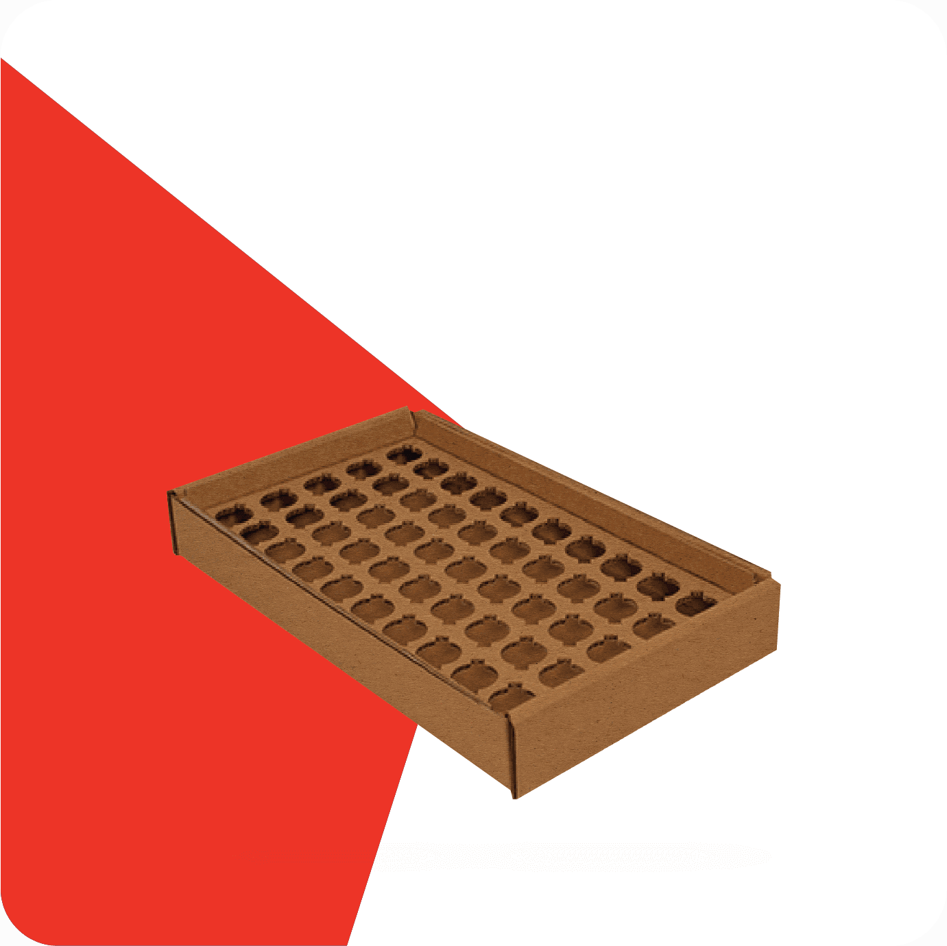 frame cardboard insert