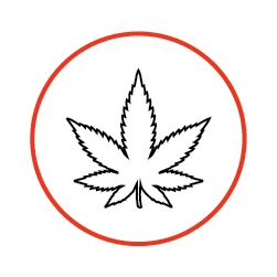 Smell Proof Mylar Bags for Cannabis Packaging Flowers Edibles and CBD Products